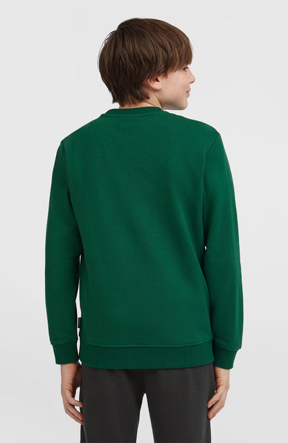 Essentials Crew Sweatshirt Kids Emerald Envy