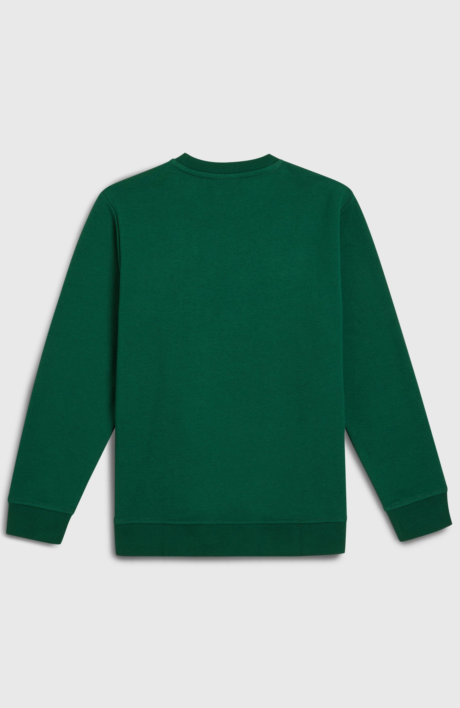 Essentials Crew Sweatshirt Kids Emerald Envy