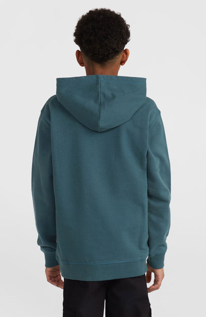 Front Print Hoodie Kids Alma Steel