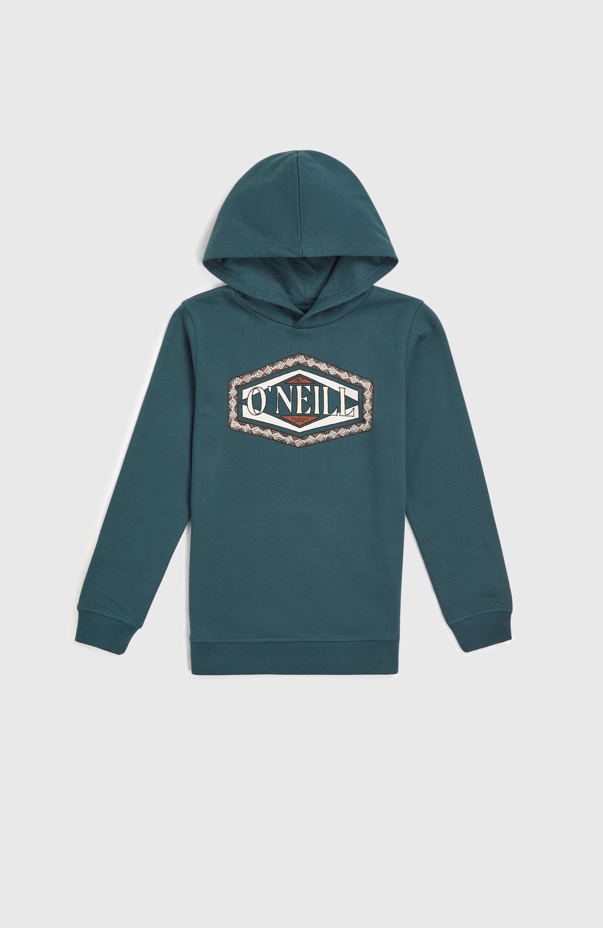 Front Print Hoodie Kids Alma Steel