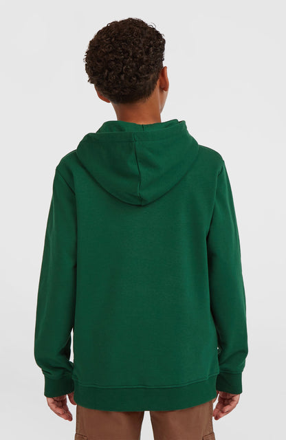 Essentials Hoodie Kids Emerald Envy