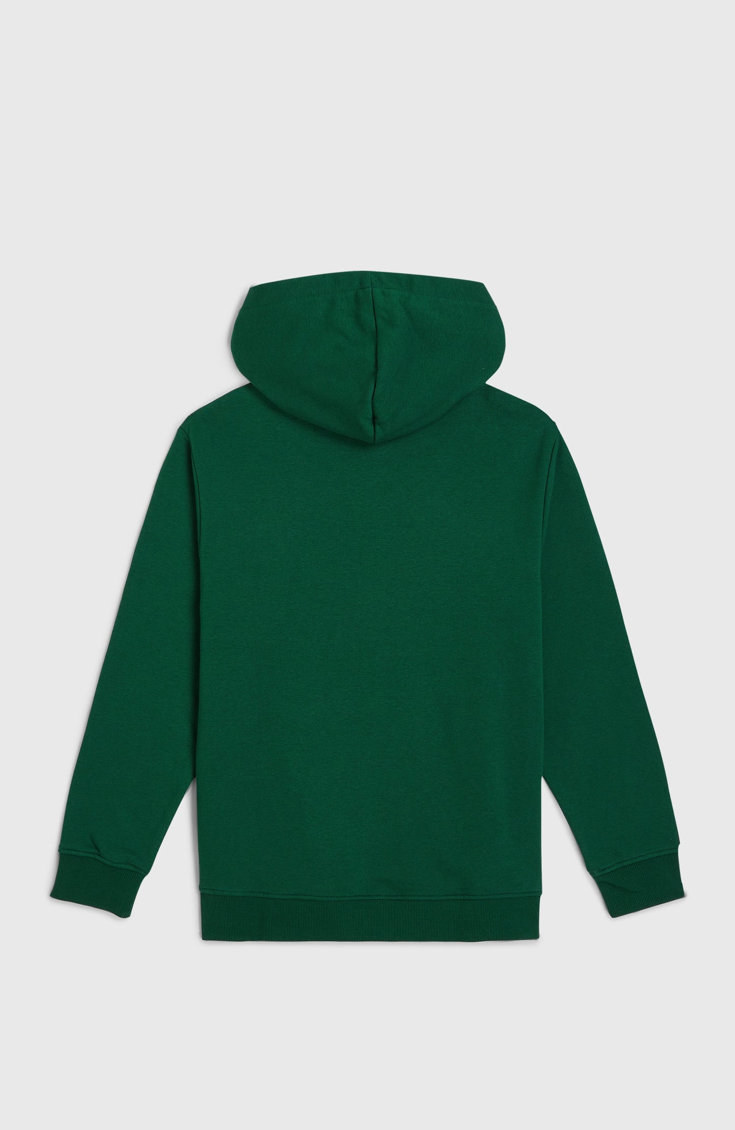 Essentials Hoodie Kids Emerald Envy