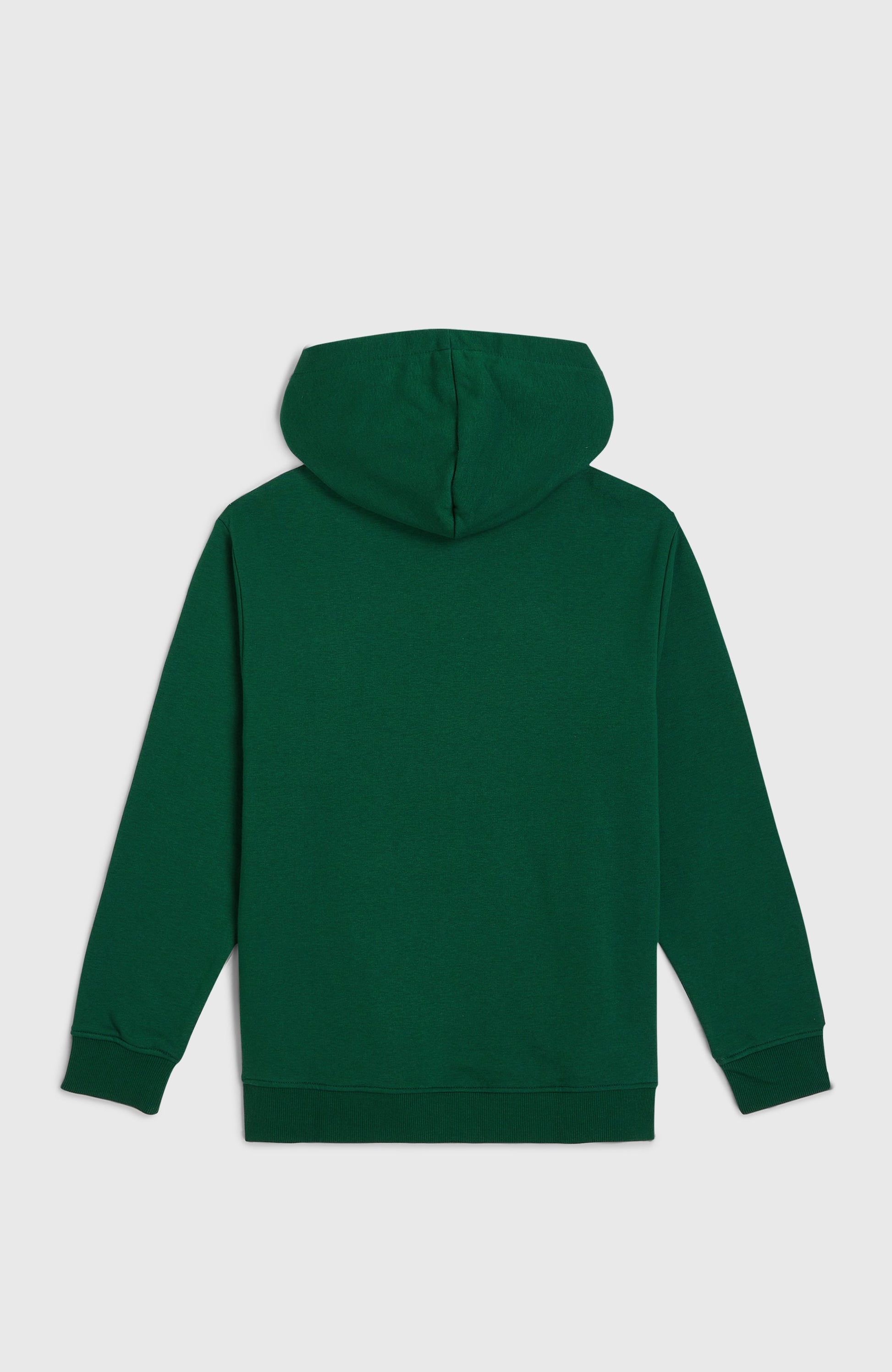 Essentials Hoodie Kids Emerald Envy