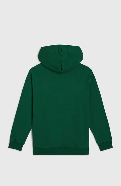 Essentials Hoodie Kids Emerald Envy