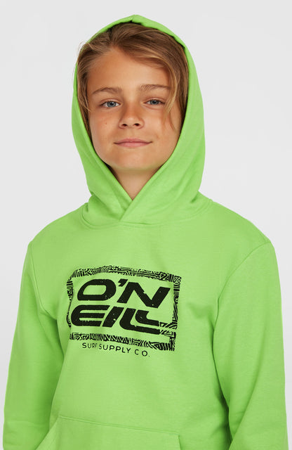 Logo Hoodie Kids Paradise Valley