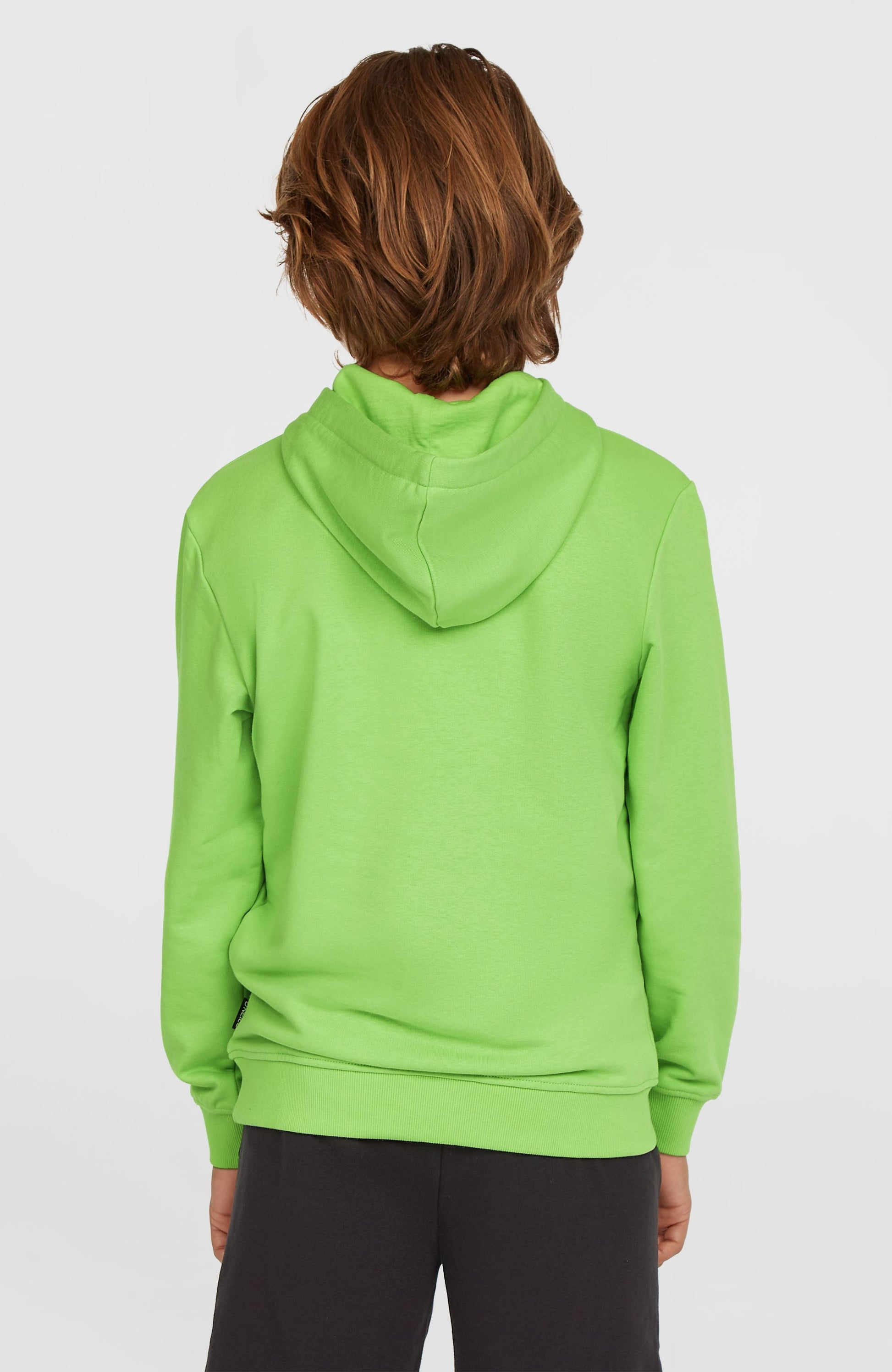Logo Hoodie Kids Paradise Valley