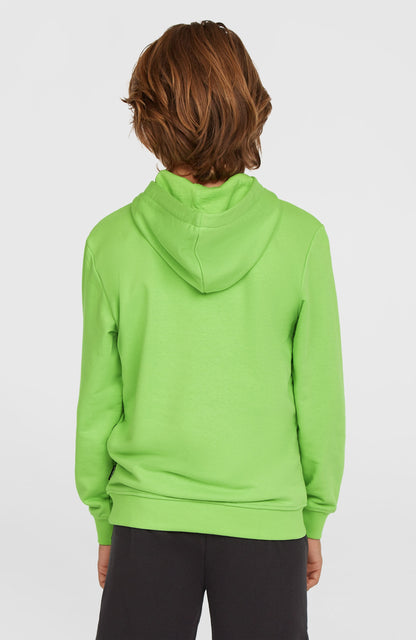 Logo Hoodie Kids Paradise Valley