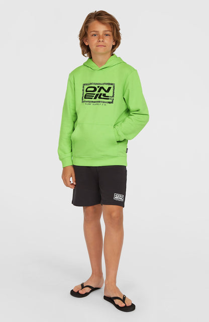 Logo Hoodie Kids Paradise Valley