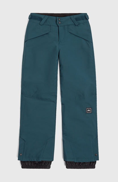 Hammer Snow Pants Kids Alma Steel